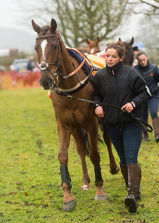 Race 4 - Rectricted Race (10 of 133).jpg