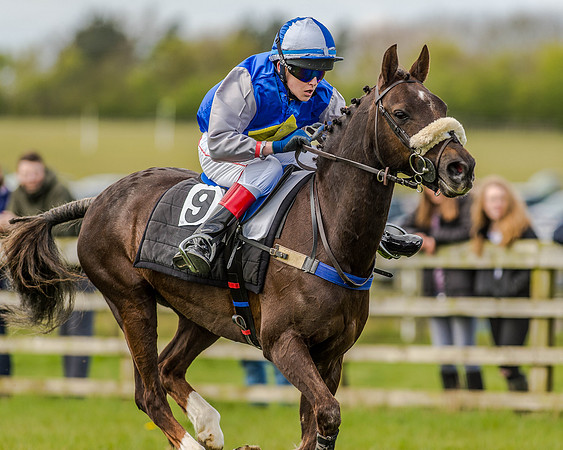 Pony Race 2 (66 of 77).jpg