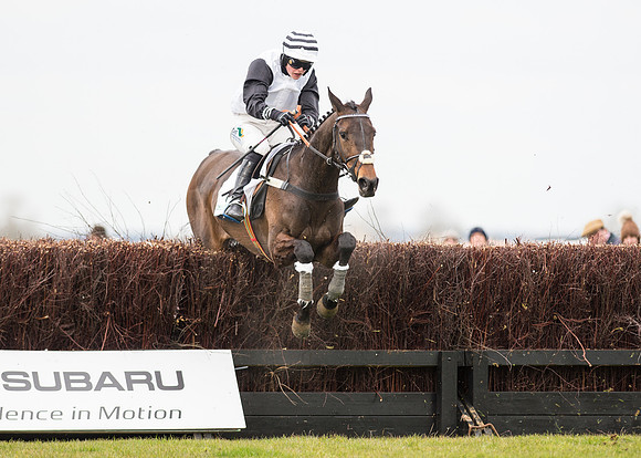 Race 2 - Maiden Div 1-93