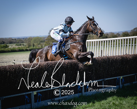 Race 2 - The Maiden (105 of 118)