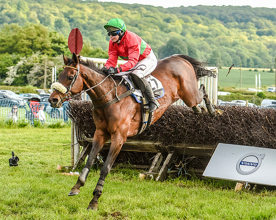 Race 7 - Div 2 - Open Maiden (111 of 163).jpg