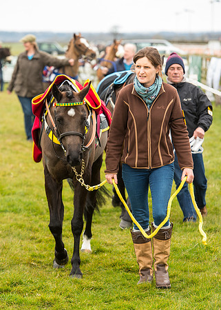 Pony Race 1 - 138cm -18