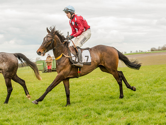 Race 3 - Young Horse maiden 2m5f (54 of 124).jpg