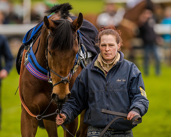 Race 2 - Open Maiden  (32 of 170).jpg