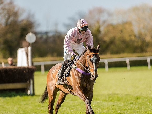 Race 6 - The Open Maiden (54 of 122).jpg