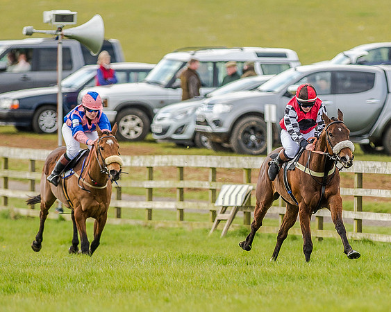 Pony Race 3 (28 of 78).jpg