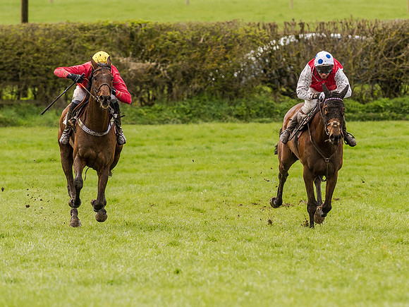 Race 1 - Confined Hunts (86 of 118).jpg