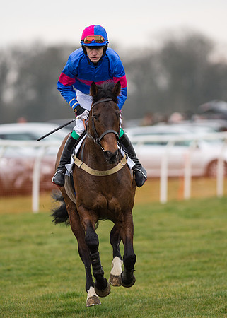 Race 7 - PPORA Novice Riders-4