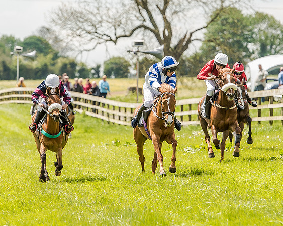 Pony Race 2 (43 of 57).jpg