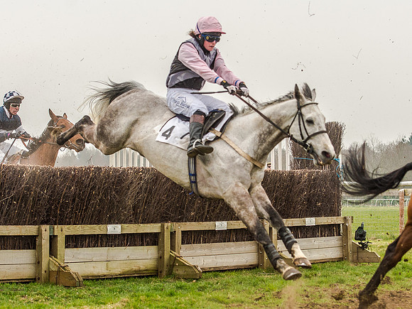 Race 5 - Open Maiden Division 2 (80 of 112).jpg