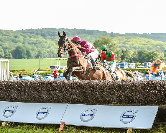 Race 7 - Div 1 - Open Maiden (50 of 94).jpg