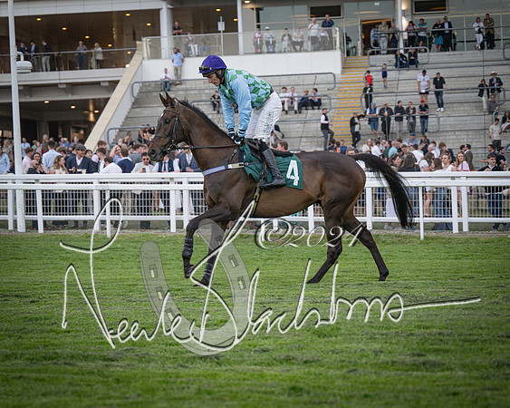 Race - 7 The Royal Gloucester Hussars Open Hunter's steeplechase 2m4f 127y (49 of 210)