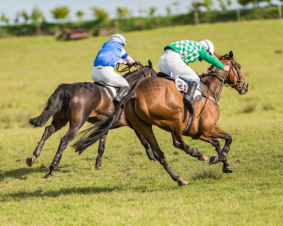 Race 6 - Open Maiden Race (71 of 71).jpg