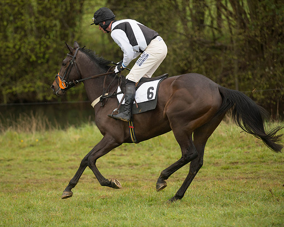 Race 5 - Open Maiden (59 of 147).jpg