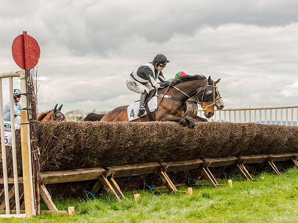 Race 3 - Young Horse maiden 2m5f (61 of 124).jpg