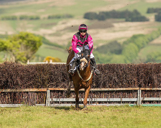Race 6 - Open Maiden Race (56 of 71).jpg