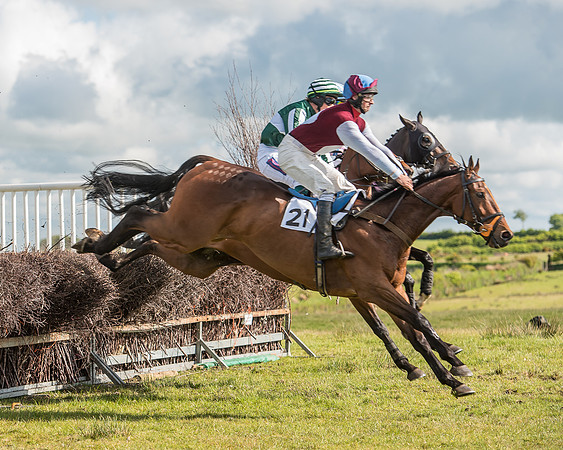 Race 6 - Open Maiden Race (37 of 71).jpg