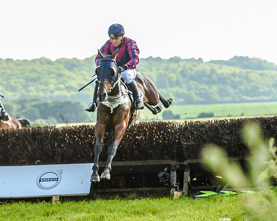 Race 7 - Div 1 - Open Maiden (45 of 94).jpg
