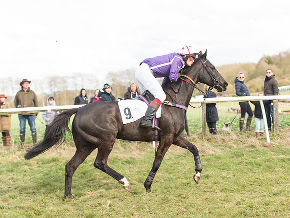 Race 4 - Novice and Veteran Riders race (44 of 46).jpg