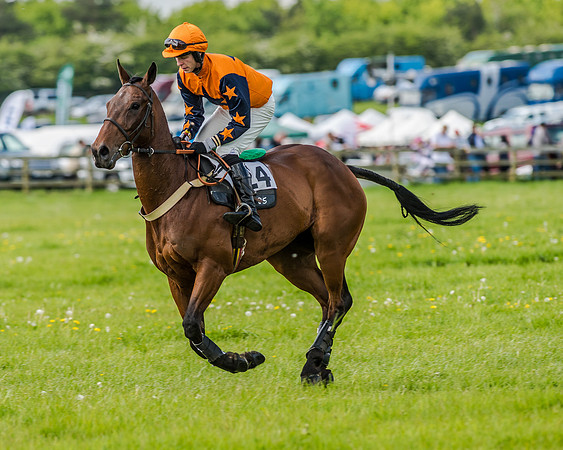 Race 4 - PPORA Novice Riders (55 of 196).jpg