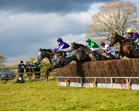 Race 5 - Restricted  (21 of 118)