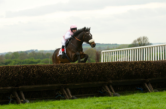 Race 4 - Nov-vets 24