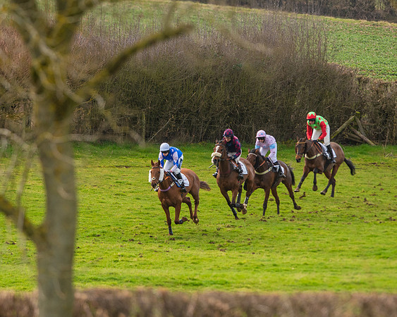 Race 4 - Mixed Open  (20 of 102)