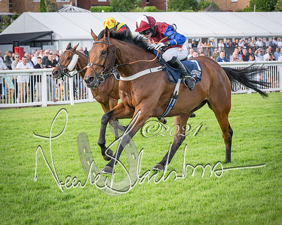 Race 2 - Olly Murphy Racing Stratford Ladies Open (91 of 111)