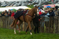 Race 4 - Novice riders 2