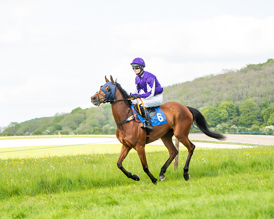 Race 6 - Maiden [2m4f] (28 of 135)