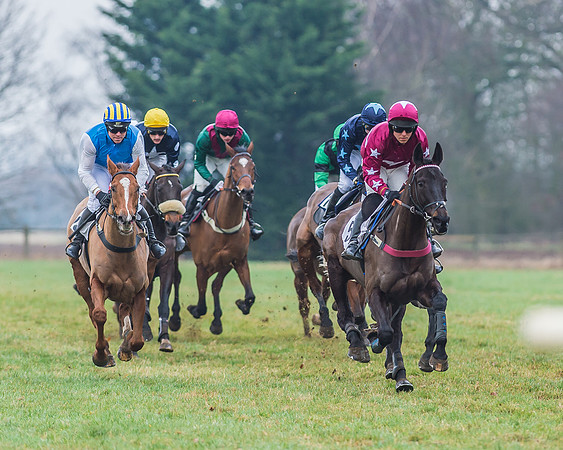 Race 6 - Open Maiden-38