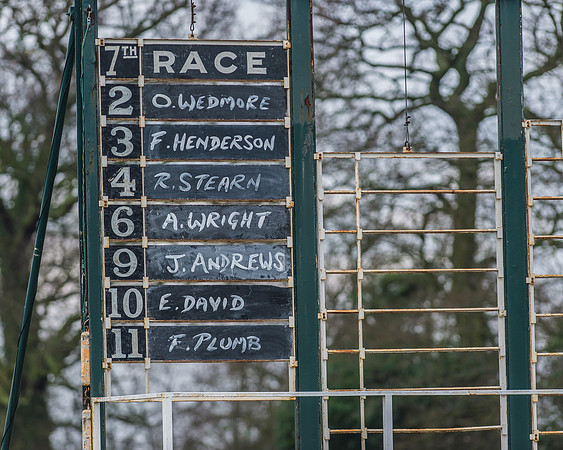 Race 7 - Young Horse Maiden-1