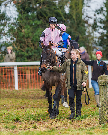 Race 7 - Young Horse Maiden-6