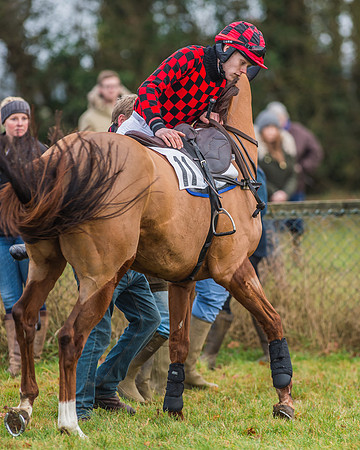 Race 7 - Young Horse Maiden-16