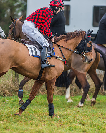 Race 7 - Young Horse Maiden-17