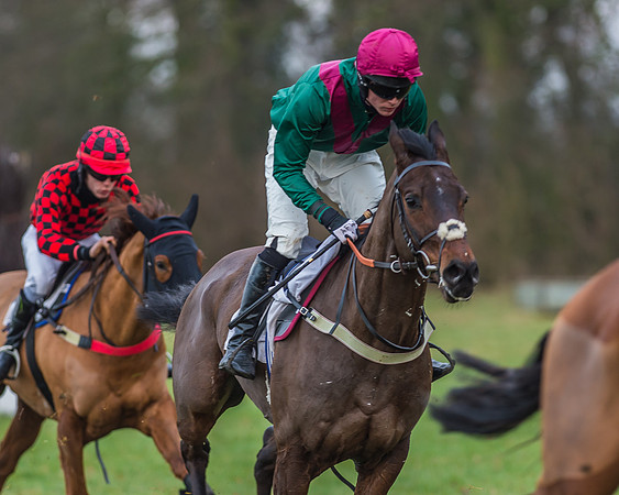 Race 7 - Young Horse Maiden-26