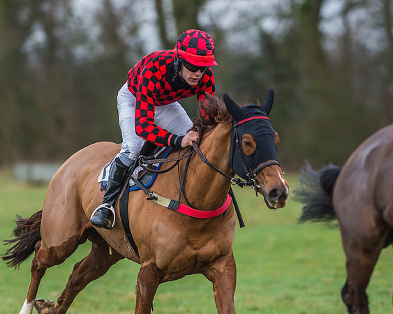 Race 7 - Young Horse Maiden-27