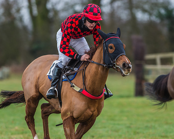 Race 7 - Young Horse Maiden-28