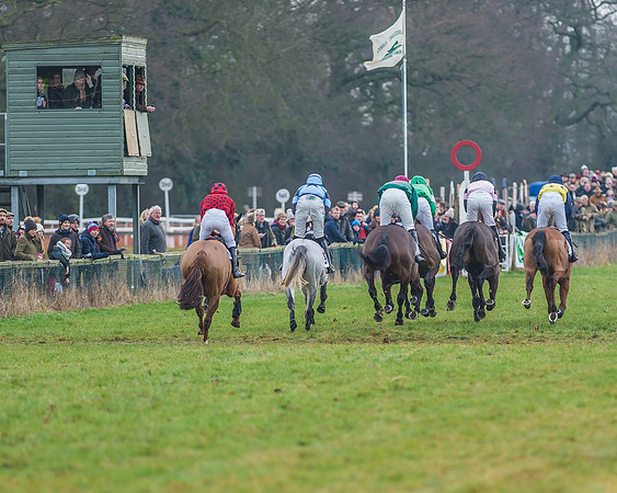 Race 7 - Young Horse Maiden-29