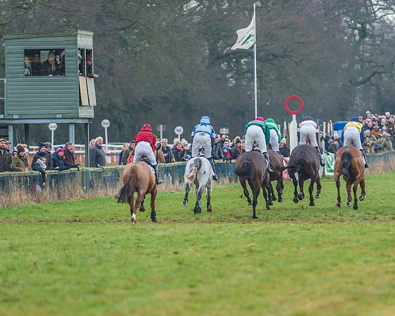Race 7 - Young Horse Maiden-30