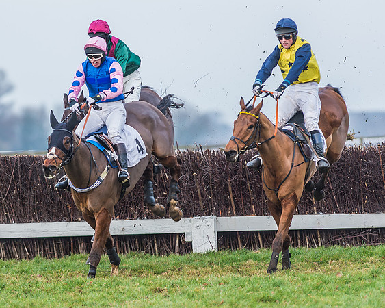 Race 7 - Young Horse Maiden-36