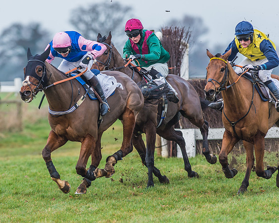 Race 7 - Young Horse Maiden-40