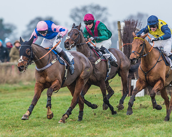 Race 7 - Young Horse Maiden-41