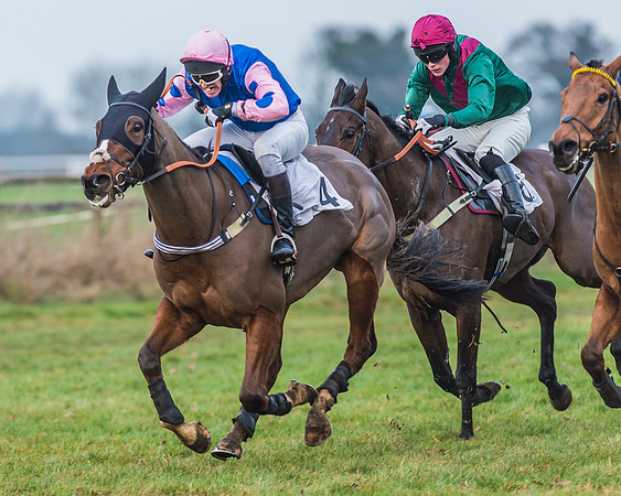 Race 7 - Young Horse Maiden-43