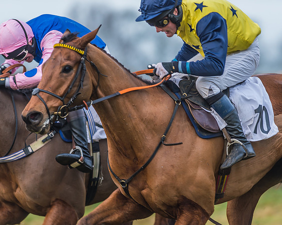 Race 7 - Young Horse Maiden-47