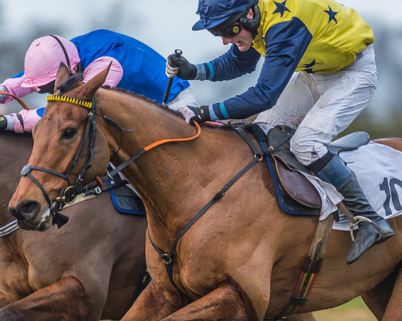 Race 7 - Young Horse Maiden-48