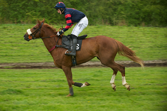 Race 7 - 2m4f Maiden 16