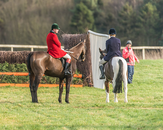 Race 2 - Open Maiden (4 of 98)