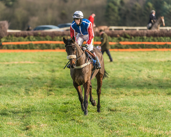 Race 2 - Open Maiden (10 of 98)