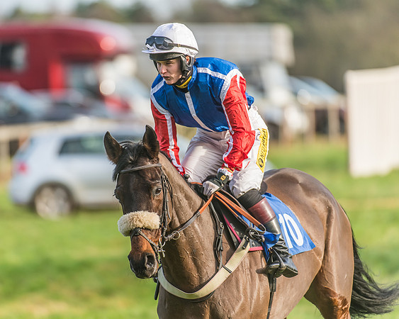 Race 2 - Open Maiden (11 of 98)